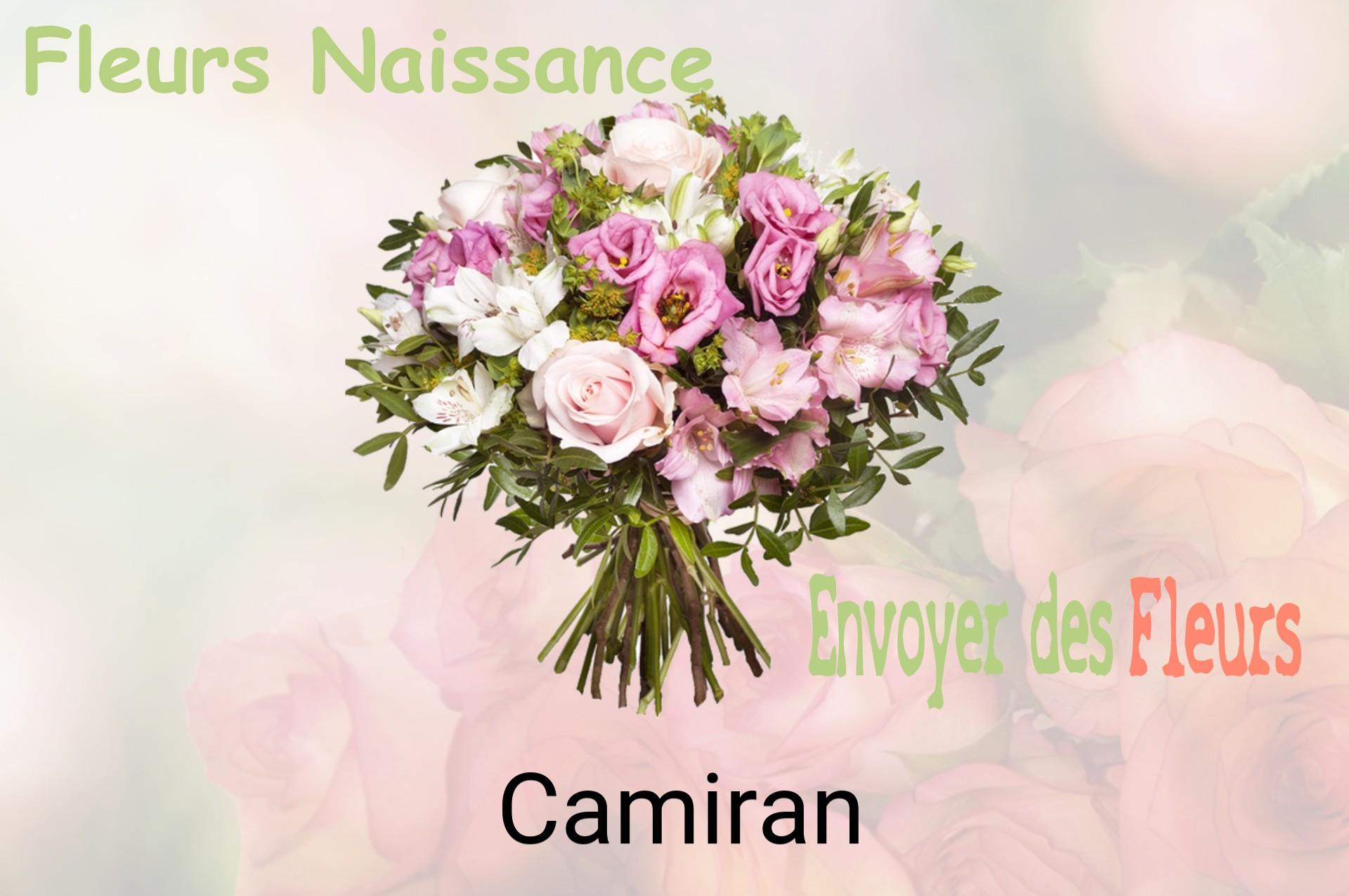 Bouquet de fleurs de naissance livré à Camiran