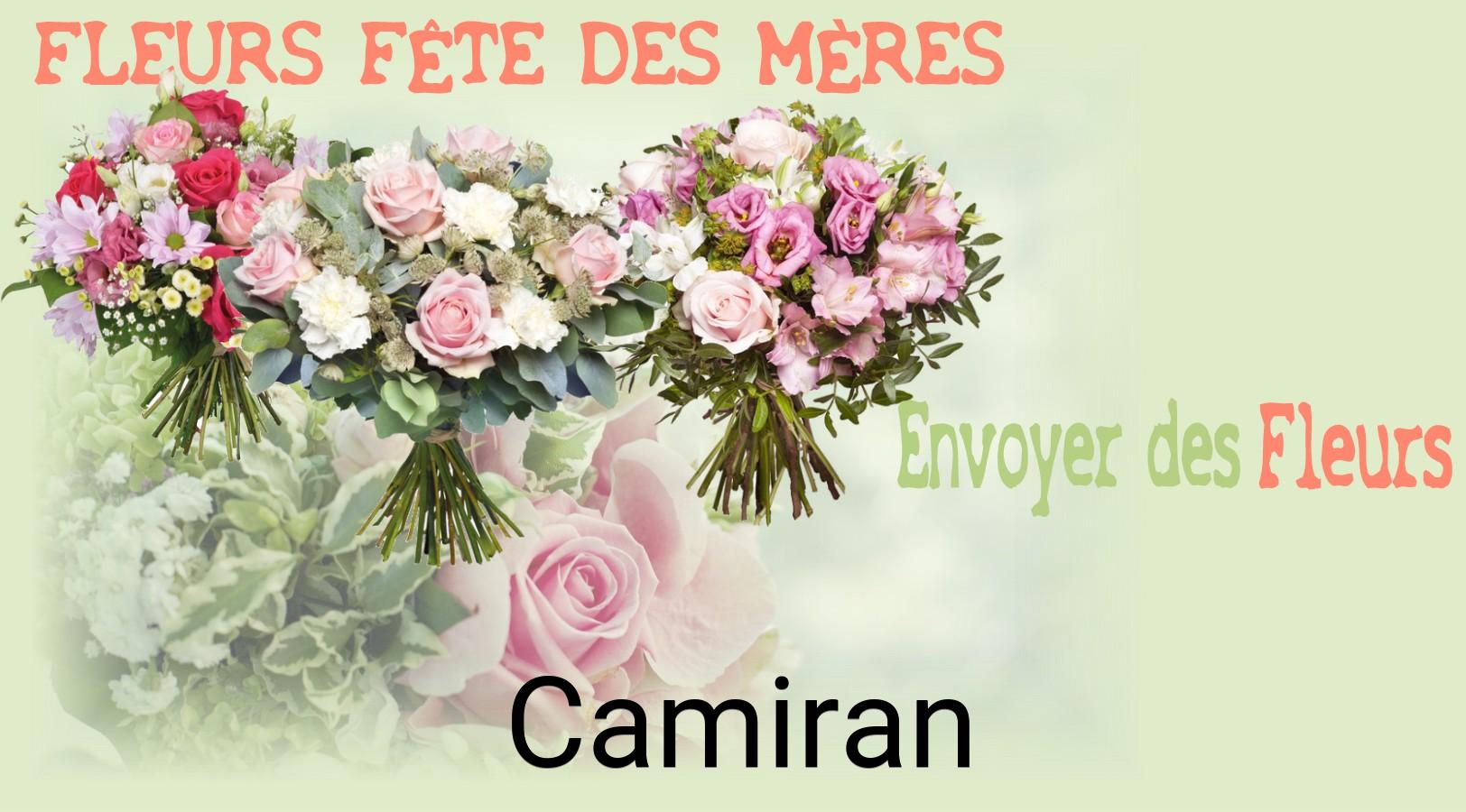 Bouquet de Fête des Mères livré à Camiran